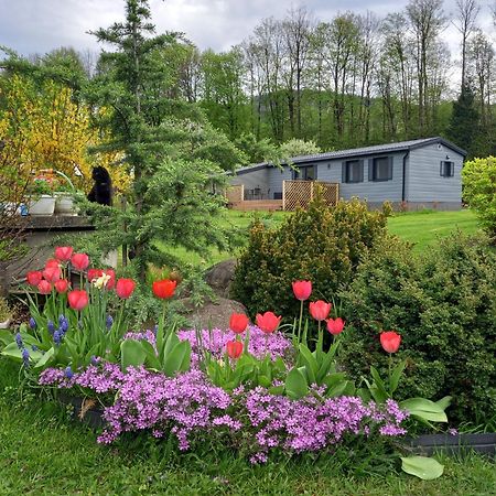Chata Idylka - Nova Chata Se Zahradou Loucna nad Desnou Exterior photo